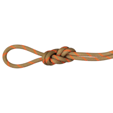 Corde Mammut 8.0 Alpine Dry Rope Boa-safety orange 11240