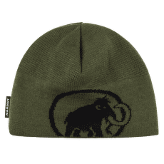 Casquettes Mammut Tweak Beanie (1191-01352) 40294 dark marsh-black