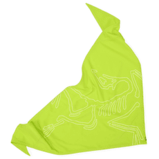 Écharpe Arcteryx Sinsolo Bandana Mantis