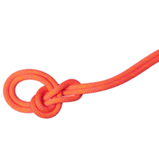 Corde Mammut 9.8 Crag Dry vibrant orange-lavandin