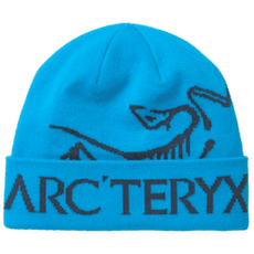 Casquettes Arcteryx Bird Word Toque Aquaculture / Black