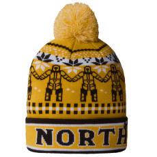 Casquettes The North Face Ski Tuke SUMMIT GOLD HIM SUIT JA