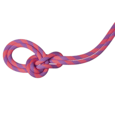 Corde Mammut 9.5 Crag Dry Rope Duodes lavandin-vibrant orange