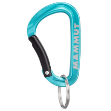 Mousqueton Mammut Mini Carabiner Classic Keylock S blue 5018
