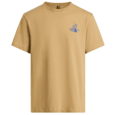 T-shirt a manches courtes The North Face Mountain Celebration Regular SS Tee - Graphic Men Khaki Stone