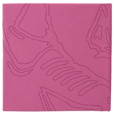 Écharpe Arcteryx Sinsolo Bandana Lt Renegade / Renegade