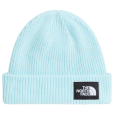 Casquettes The North Face SALTY LINED BEANIE NN4 GLACIER