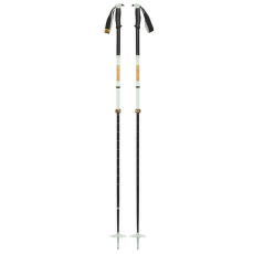 Trou Black Diamond TRAVERSE PRO SKI POLES Foam Green