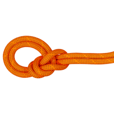 Corde Mammut 9.8 Crag Dry Rope 2284 vibrant orange-boa