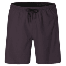 Shorts Direct Alpine Sprint Shorts Men anthracite