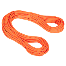 Corde Mammut 9.5 Alpine Dry Dry Standard 11256