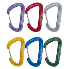 Mousqueton Mammut Sender Wire Rackpack multicolor