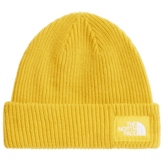 Casquettes The North Face SALTY LINED BEANIE NO7 PIGMENT YELLOW