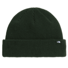 Casquettes The North Face TNF FISHERMAN BEANIE NLW BOTTLE GREEN