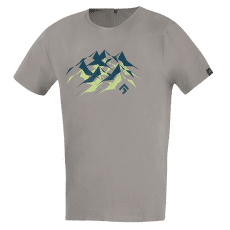 T-shirt a manches courtes Direct Alpine FLASH 5.0 stone (mountains)