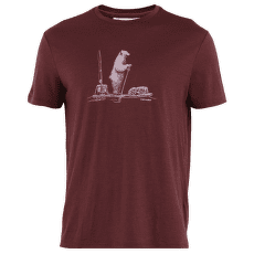 T-shirt a manches courtes Icebreaker Merino 150 Tech Lite SS Tee Polar Paddle Men PORT