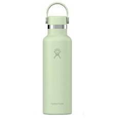 Thermos Hydro Flask Standard Mouth 21 oz 338 Aloe