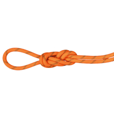 Corde Mammut 8.0 Alpine Dry Rope 2284 vibrant orange-boa