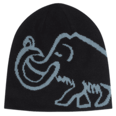 Casquettes Mammut Mammut Logo Beanie Reversible 00808 black-strata