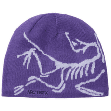 Casquettes Arcteryx Bird Head Toque Blurple / Kasumi