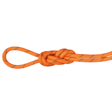 Corde Mammut 8.0 Alpine Dry Rope Safety orange-boa 11238
