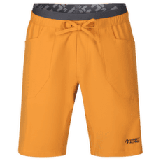 Shorts Direct Alpine Solo Shorts 3.0 Men ochre
