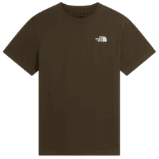 T-shirt a manches courtes The North Face BOX NSE CELEBRATION REGULAR SHORT SLEEVE MEN NEW TAUPE GREEN