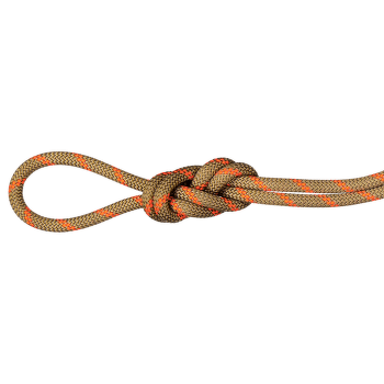 Corde Mammut 8.0 Alpine Dry Rope Boa-safety orange 11240