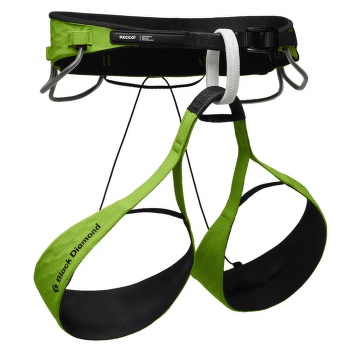 Siege Black Diamond RECCO VISION AIRNET Envy Green