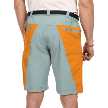 Shorts Direct Alpine VULCAN Short stone/navy