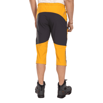 Pantalons 3/4 Direct Alpine Ascent Light 3/4 navy/anthracite