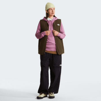 Sweat-shirt The North Face Drew Peak Light Hoodie Women MOJ HUSHED LAVENDER/METAL PINK