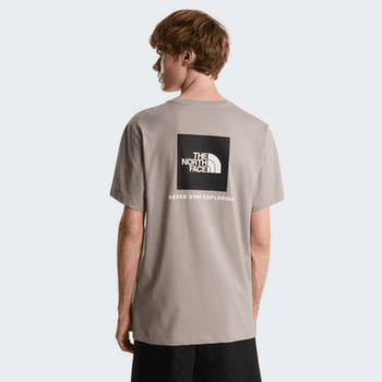 T-shirt a manches courtes The North Face Evolution Box NSE Regular Short Sleeve Men Khaki Stone