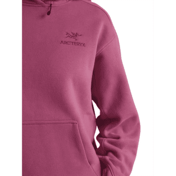 Sweat-shirt Arcteryx Emblem Fleece Hoody Women Lt Renegade