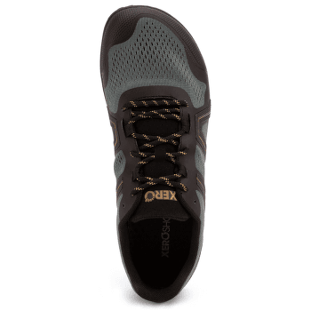 Chaussures Xero Mesa Trail II Men Forest