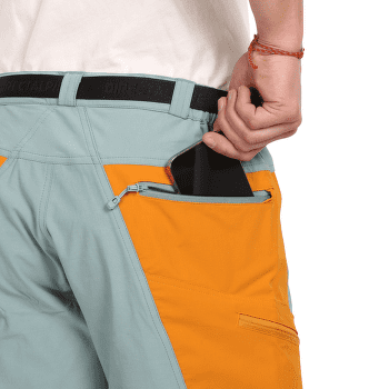 Shorts Direct Alpine VULCAN Short stone/navy