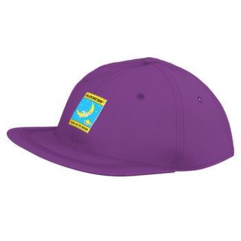Casquette de baseball La Sportiva CLIMBING ON THE MOON HAT Viola