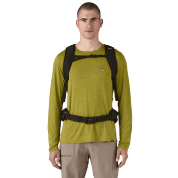 Sac a dos Patagonia Terravia Pack 36L Black