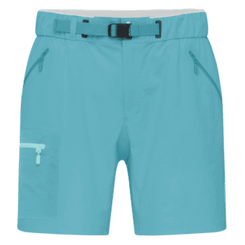 Shorts Norrona falketind flex1 light Shorts Women Brittany Blue