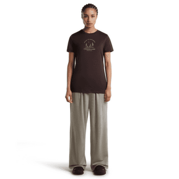 T-shirt a manches courtes Icebreaker Merino 150 Tech Lite SS Tee Peaceful Pass Women LICHEN