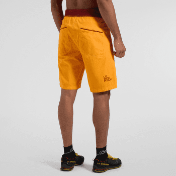 Shorts La Sportiva FLATANGER SHORT Men Cypress/Night Sky