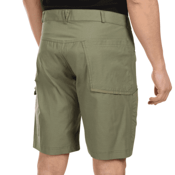 Shorts Direct Alpine Mordor Short 1.0 khaki