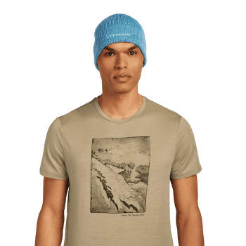 Casquettes Icebreaker Merino All Day Toque Beanie GRITSTONE HTHR-013