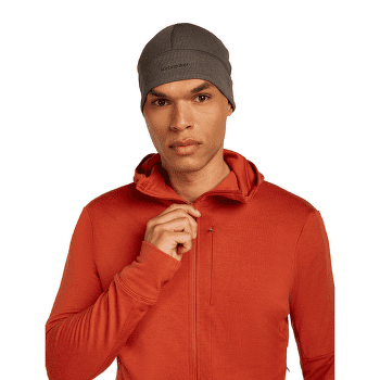Sweat-shirt Icebreaker Merino 260 Quantum IV LS Zip Hoodie Men ATLANTIS