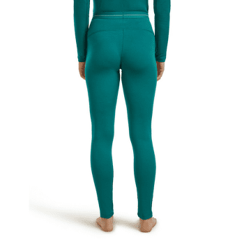 Leggings Icebreaker Oasis Leggings Women (104383) Black001