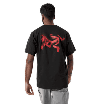 T-shirt a manches courtes Arcteryx Kragg SL Cotton Blurred Bird SS Men Black/Dynasty