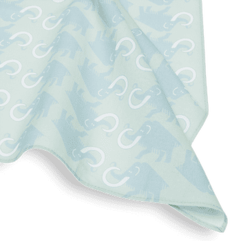 Écharpe Mammut Mammut Bandana nebla-silver sage