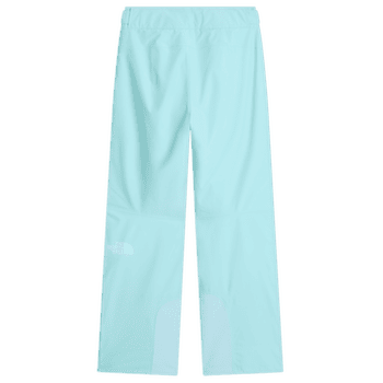 Pantalons The North Face DESCENDIT PANT Women NN4 GLACIER