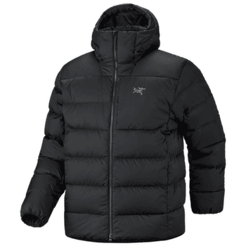 Veste Arcteryx Thorium Hoody Men Black
