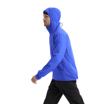 Veste Arcteryx Atom SL Hoody Men Forage